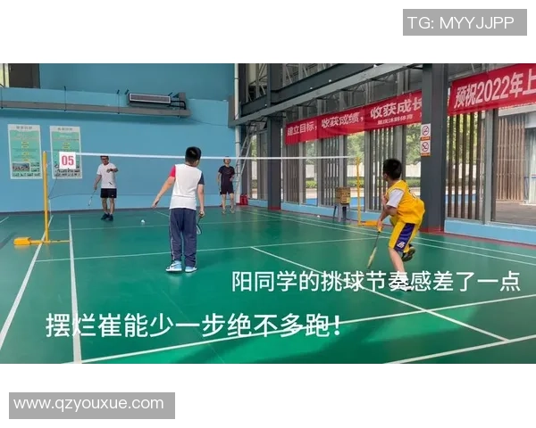 刘军独家分享羽毛球技巧与心得助你提升球技的全面指南