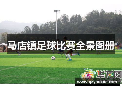 马店镇足球比赛全景图册